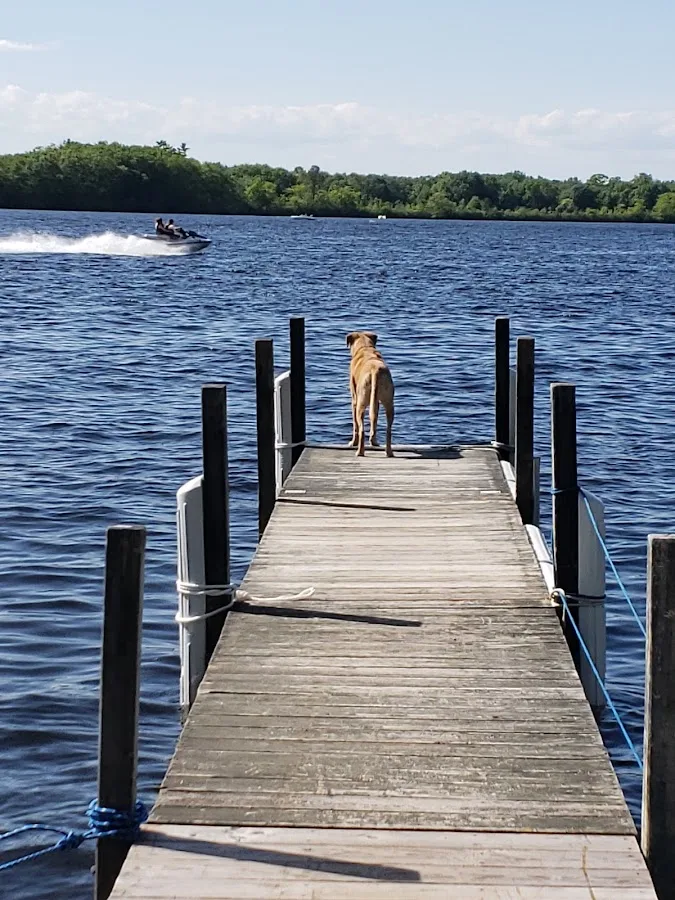 Laurel-Lock Campground