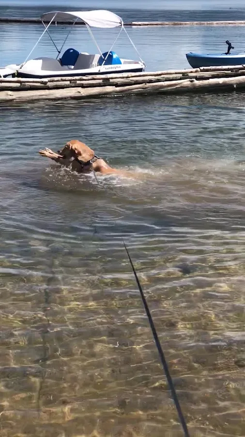 Lemolo Lake / Crater Lake North KOA Holiday