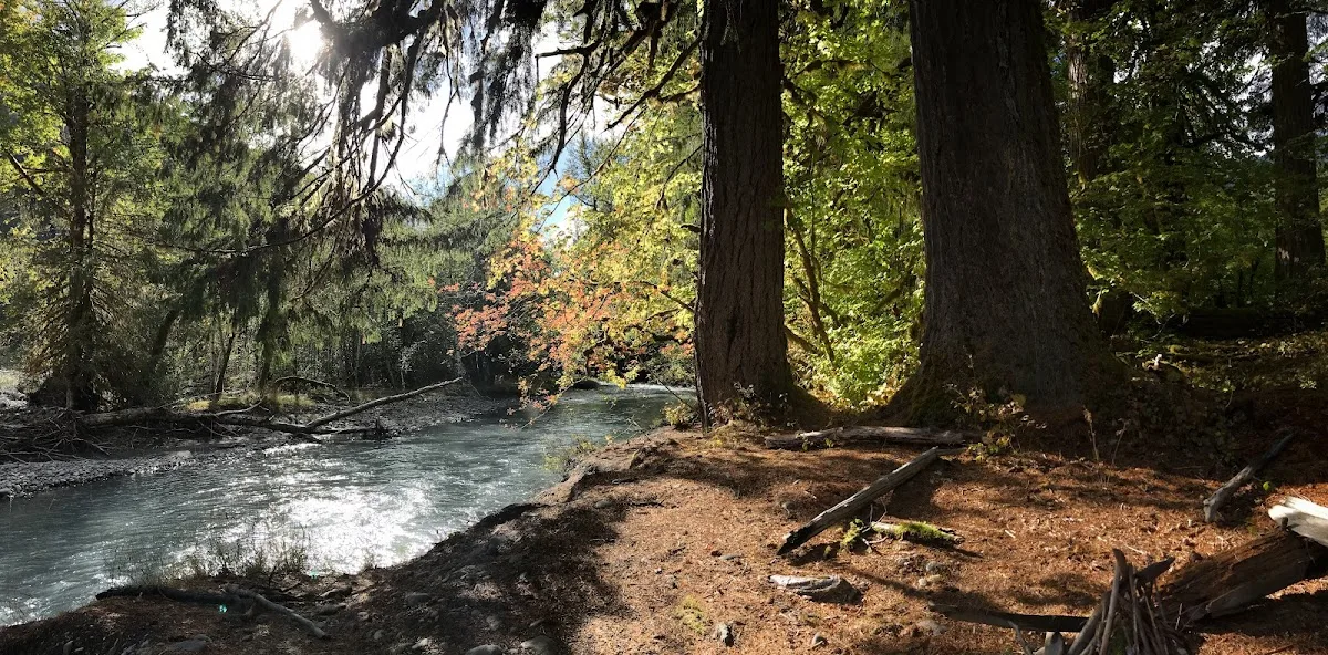 Lewis Meadow Campsite