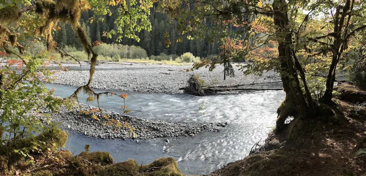 Lewis Meadow Campsite