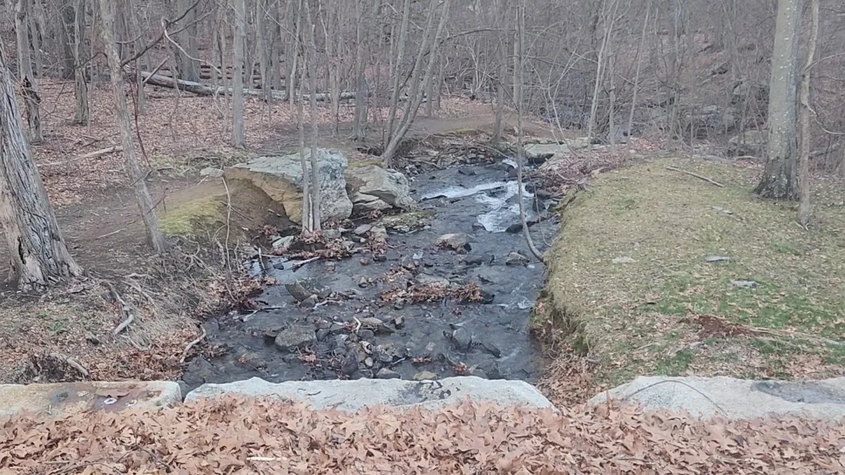Lincoln Woods State Park