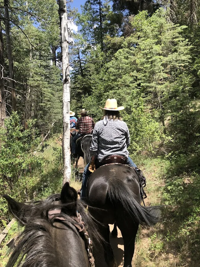 Little Elden Springs Horse Campground