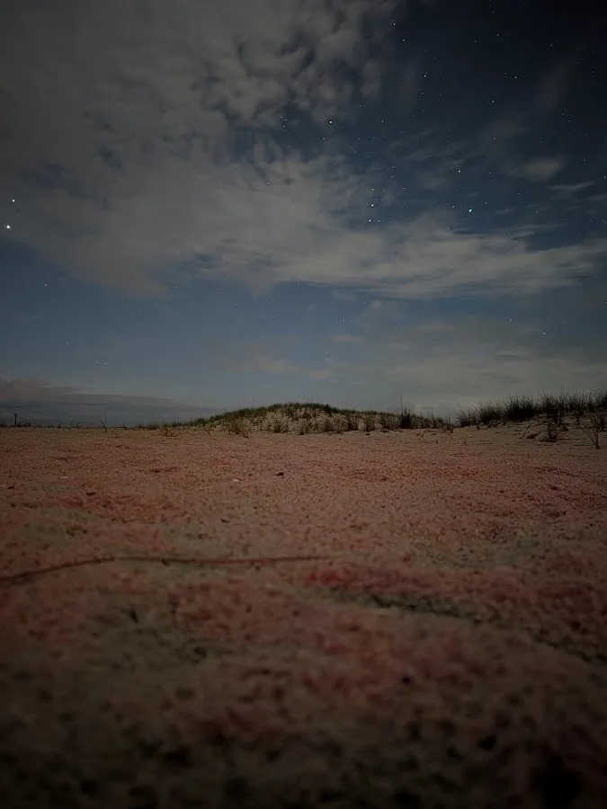 Little Levels Campground