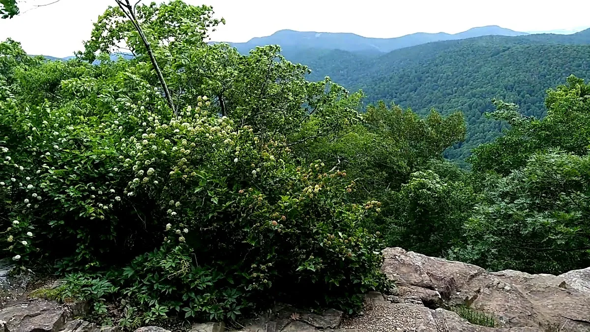 Loft Mountain Campground