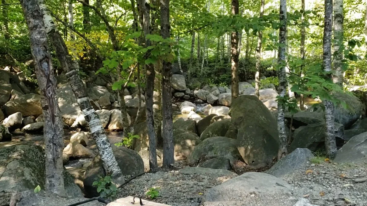 Lost River Valley Campground