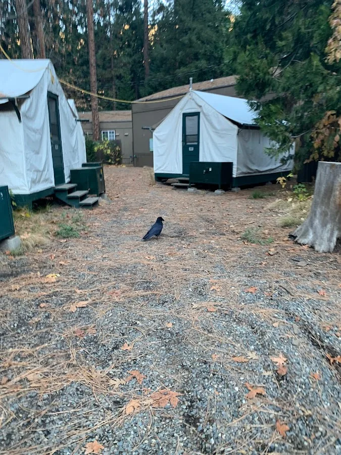 Lower Pines Campground