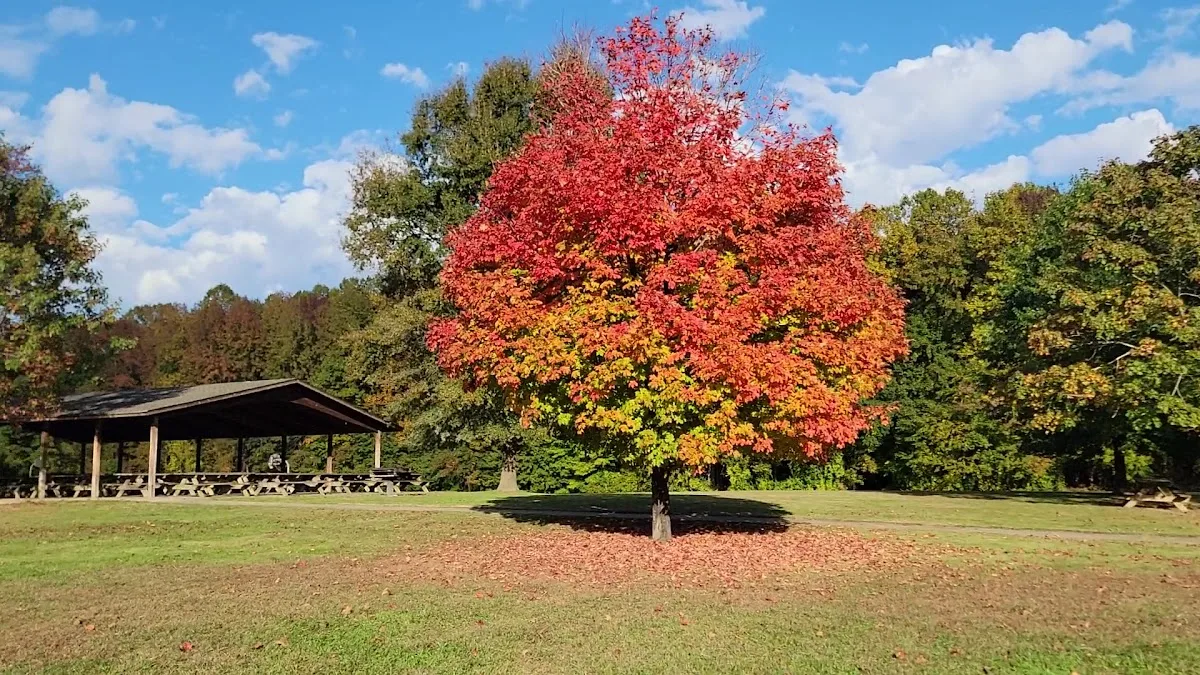 Lums Pond State Park