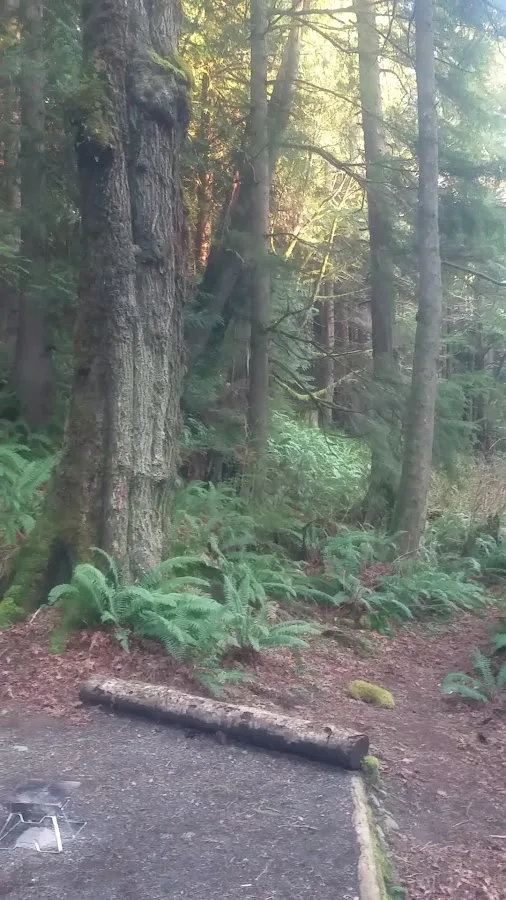 Lyre River Campground