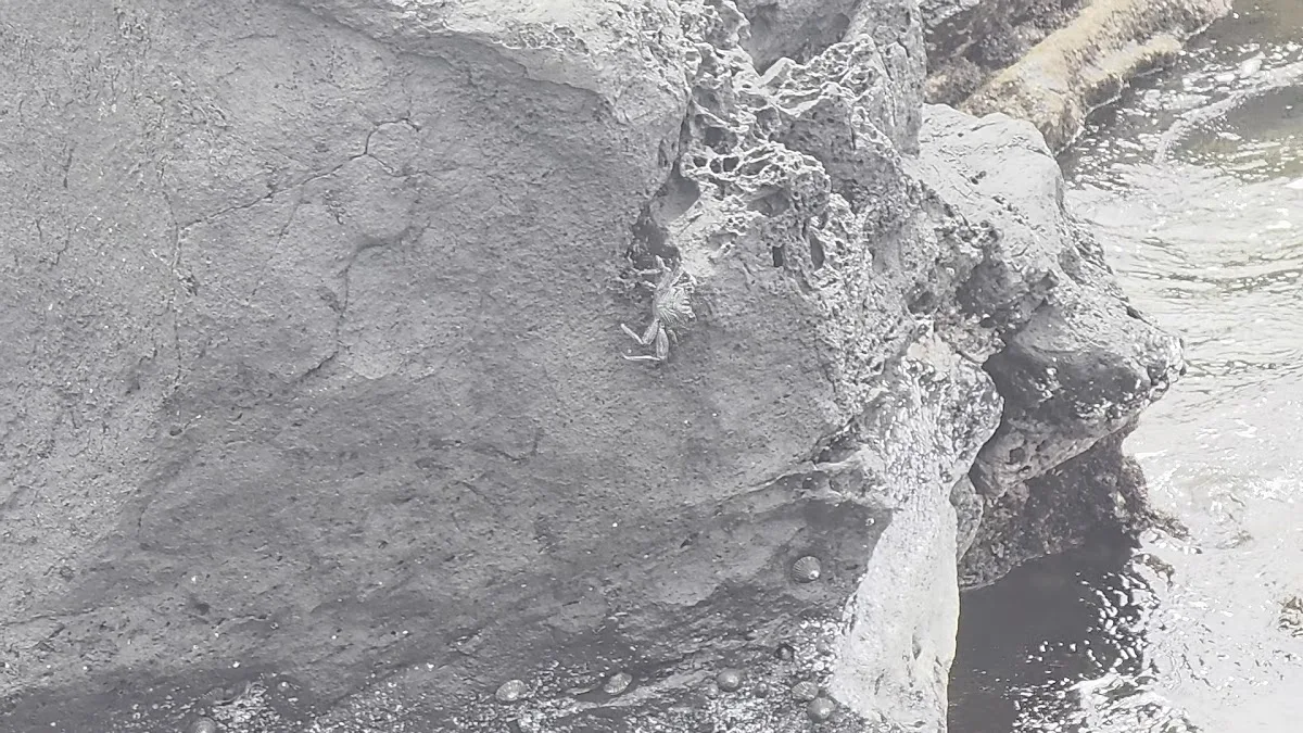 Māhukona Beach Park