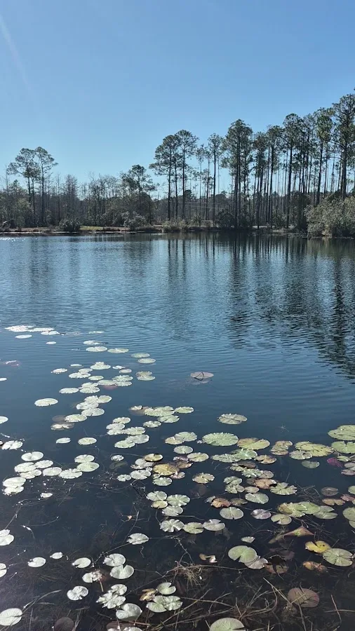 Magic River Campground