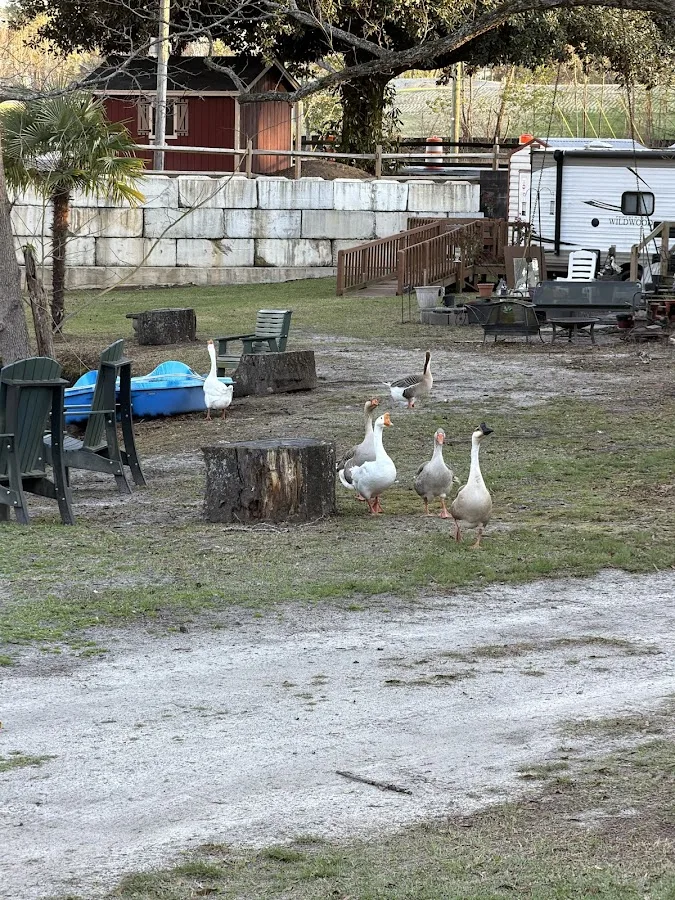 MAGNOLIA CAMPGROUND INC