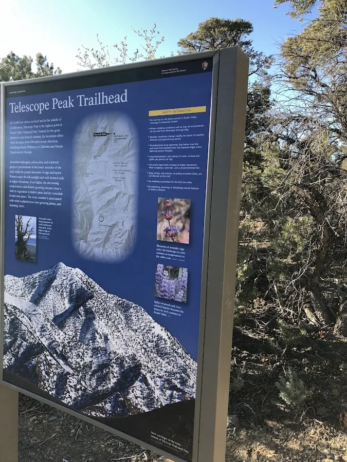 Mahogany Flat Campground