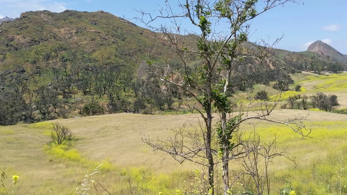 Malibu Creek State Park