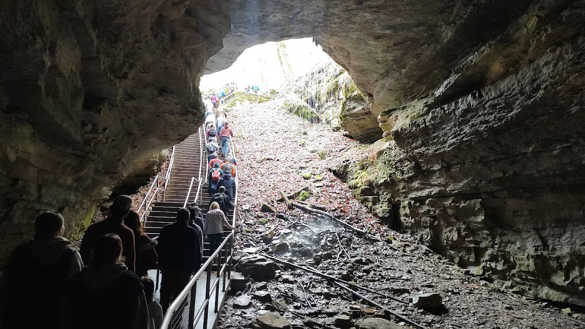 Mammoth Cave Campground