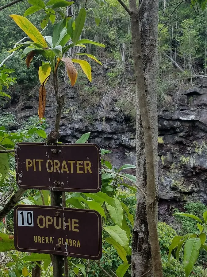 Manuka State Wayside