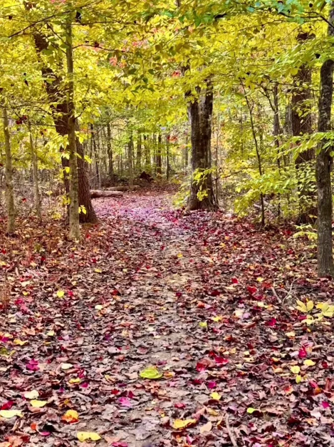 Maple Springs Group Campground