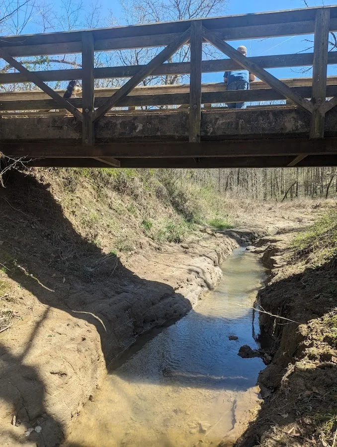 McCoy Hollow Backcountry Campsite