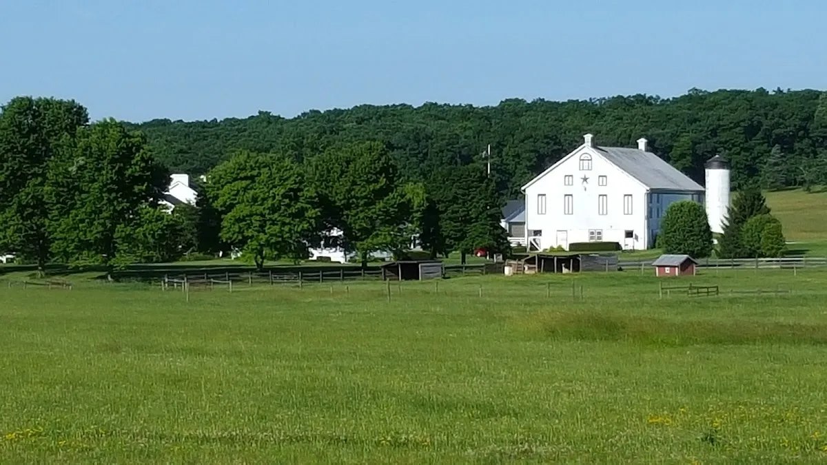 McMillan Woods Youth Campground