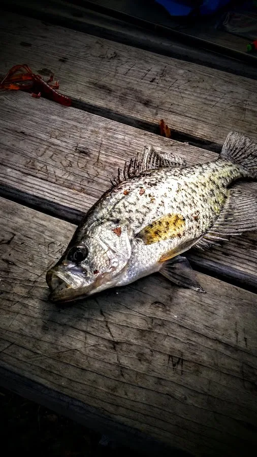 MGM Lakeside Campground
