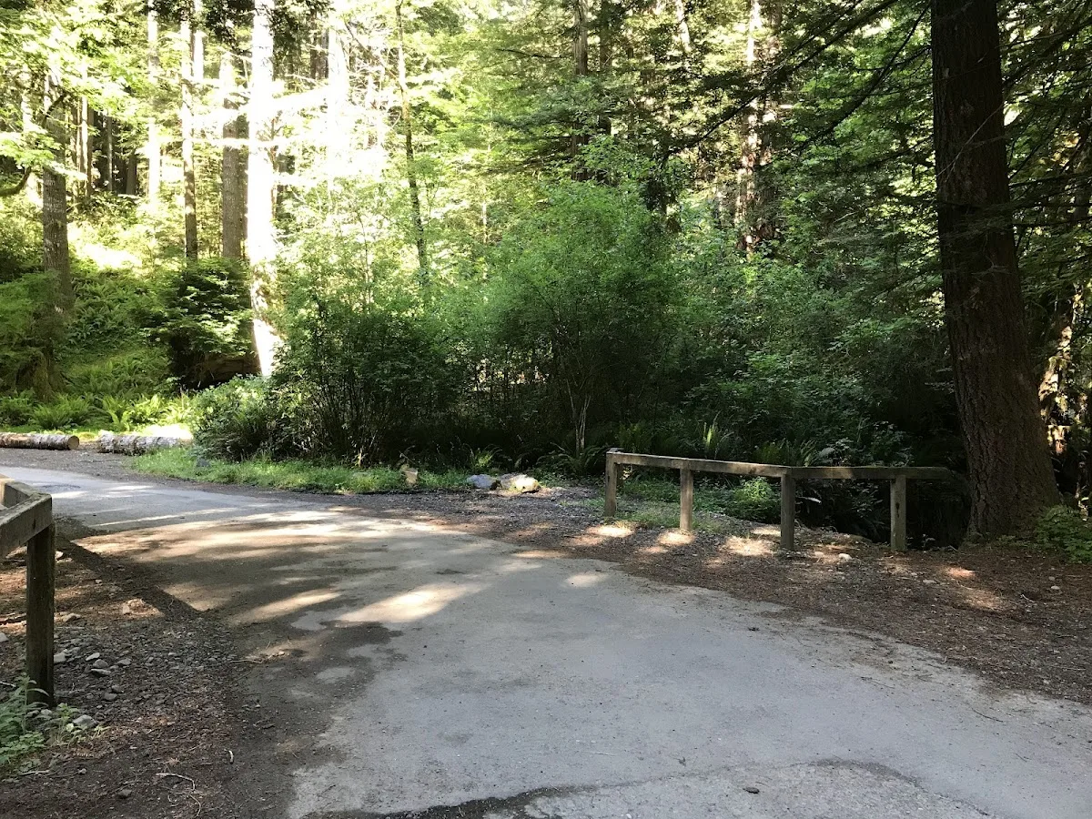 Mill Creek Campground