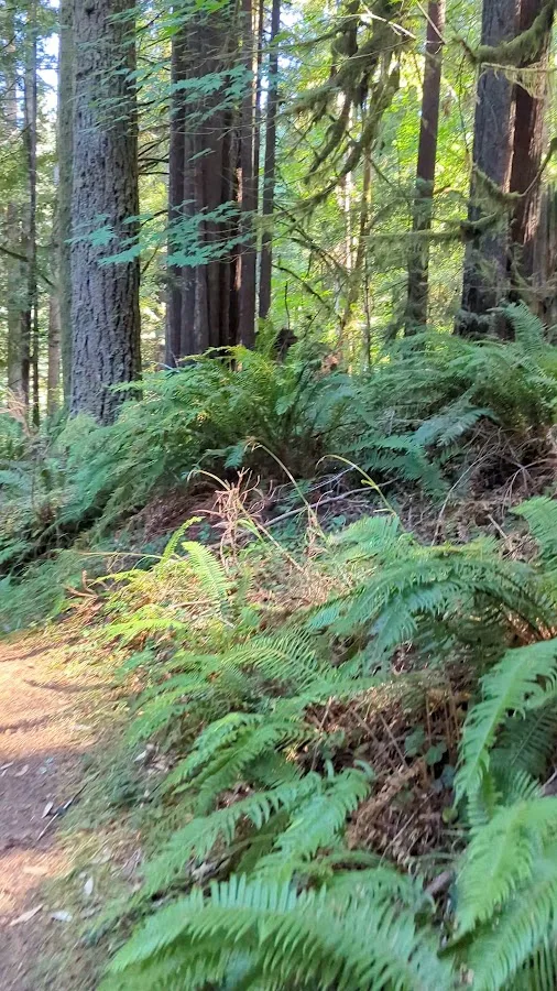 Mill Creek Campground