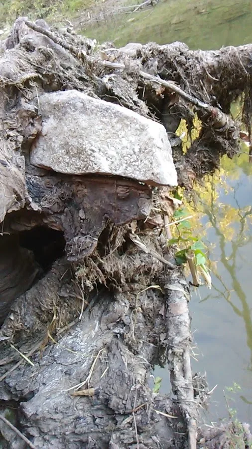 Mill Creek Campground - Historic Paxico Kansas