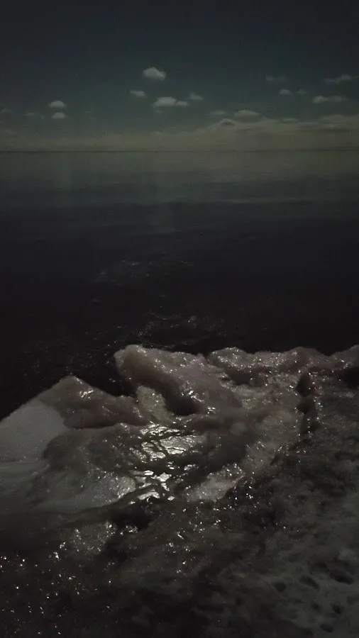 Minnesota Point and Shore