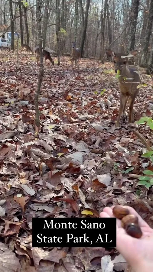 Monte Sano State Park
