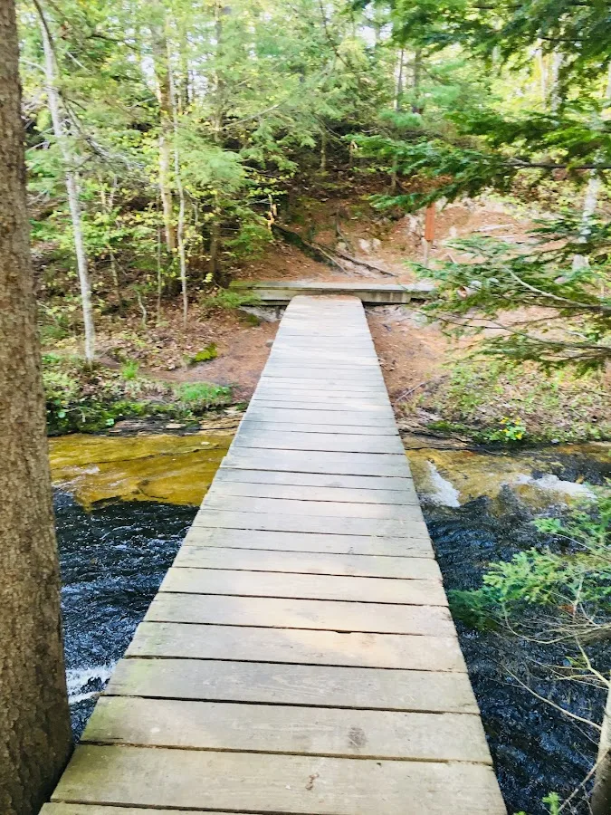 Mosquito Beach Campground