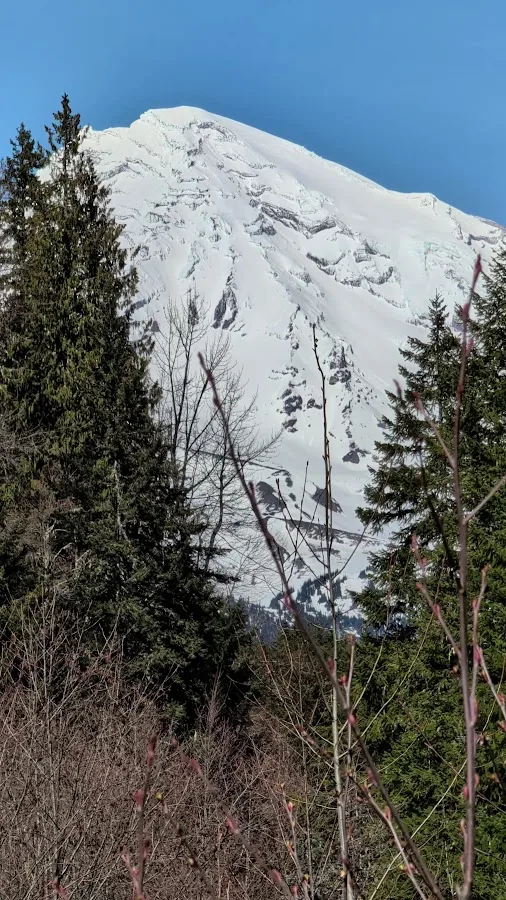 Mount Rainier National Park