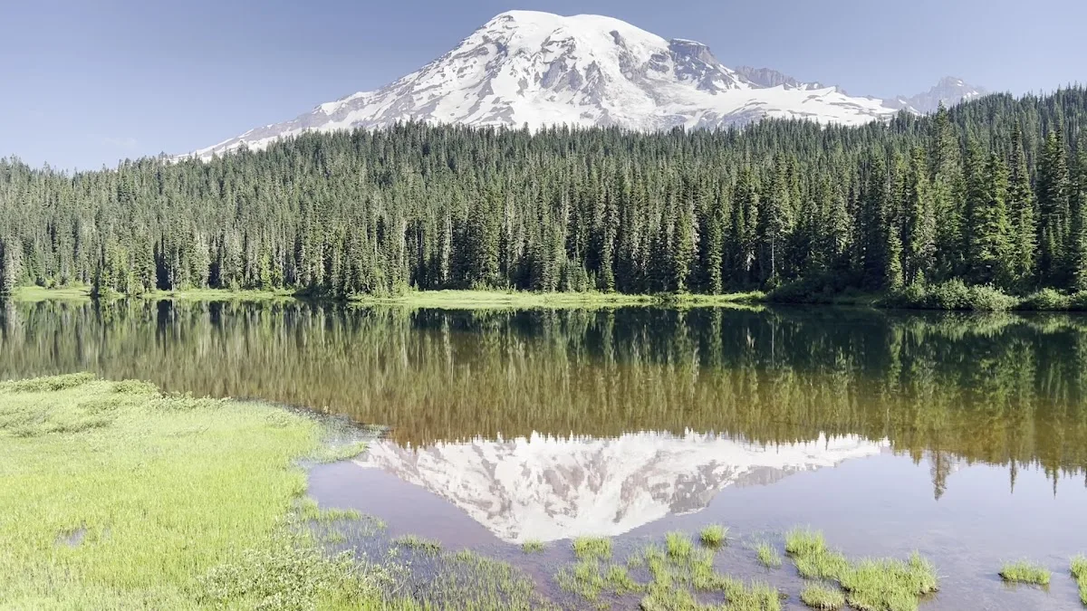 Mount Rainier National Park