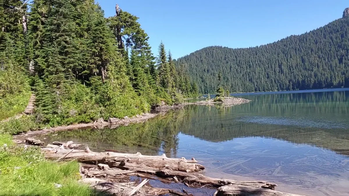 Mowich Lake Campground