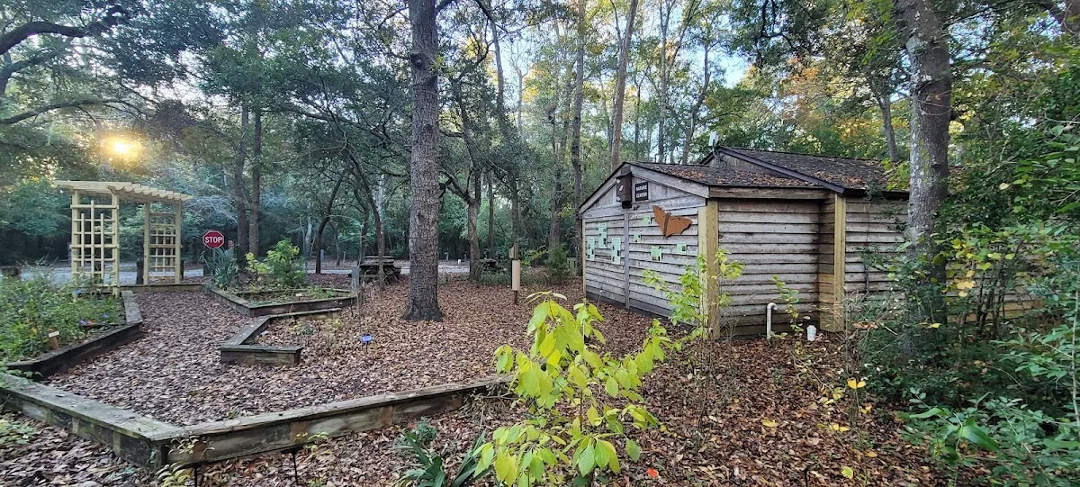 Myrtle Beach State Park Campground