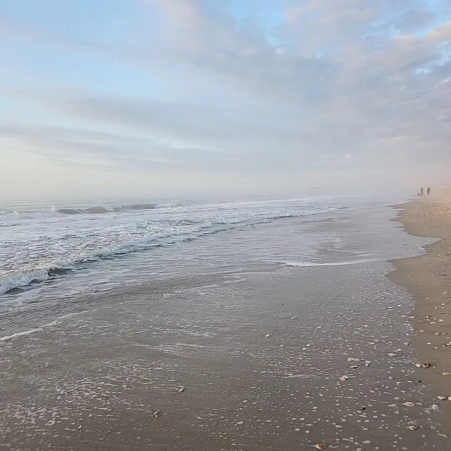 Myrtle Beach State Park Campground