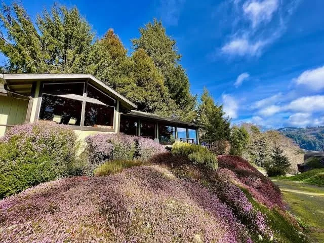 Mystic Forest RV Park