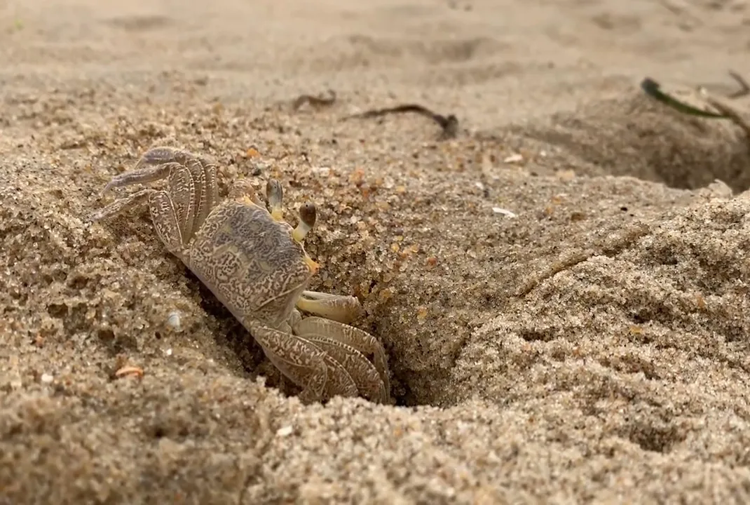 Navy Getaways/ Sea Mist RV Park