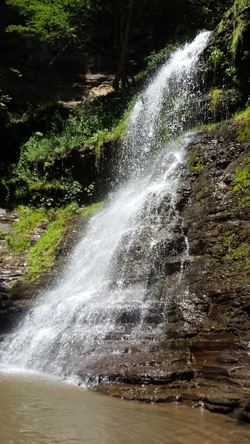 New River Campground Inc.