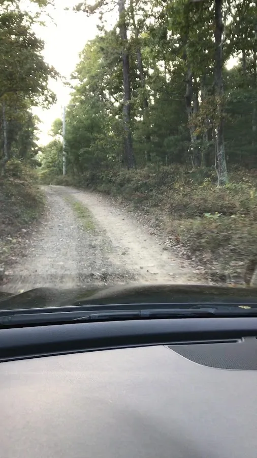 Nickerson State Park - Area 4