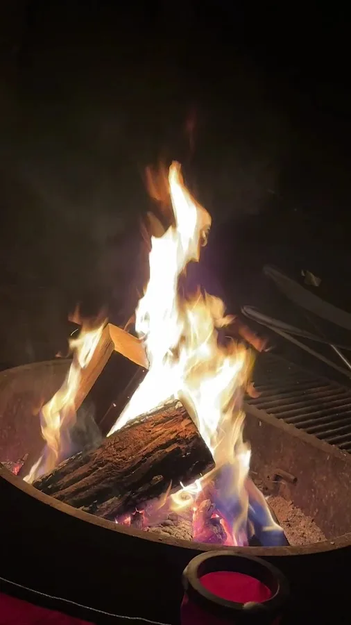 Nickerson State Park - Area 6