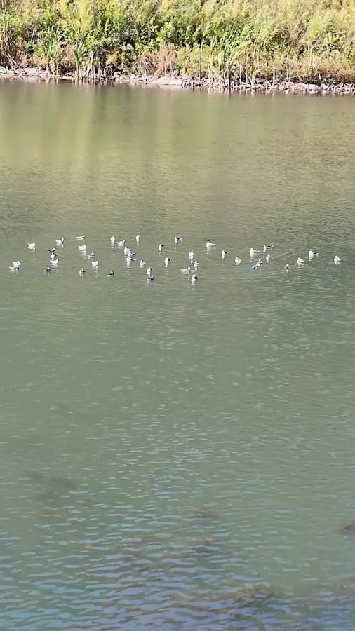 No Bad Days Campground