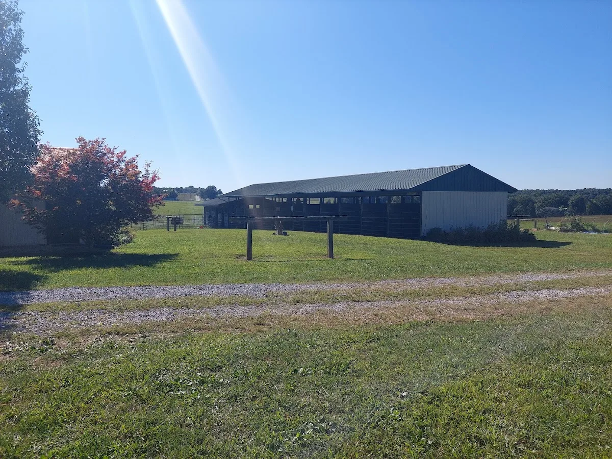 Noble Pine Cabins, Glamping, & Horse Camp