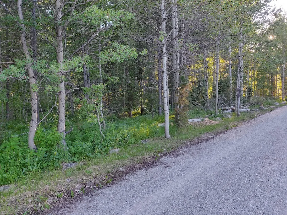 North Fork Campground