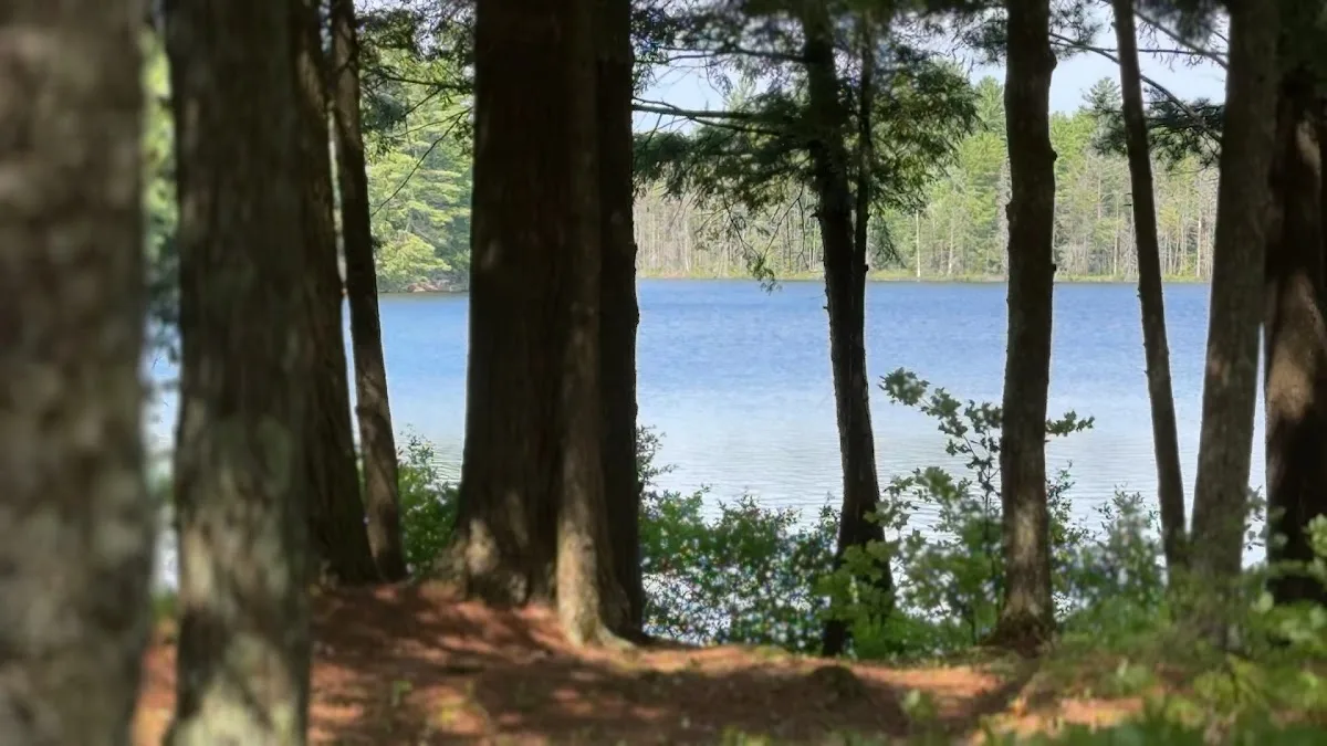 North Gemini Lake State Forest Campground