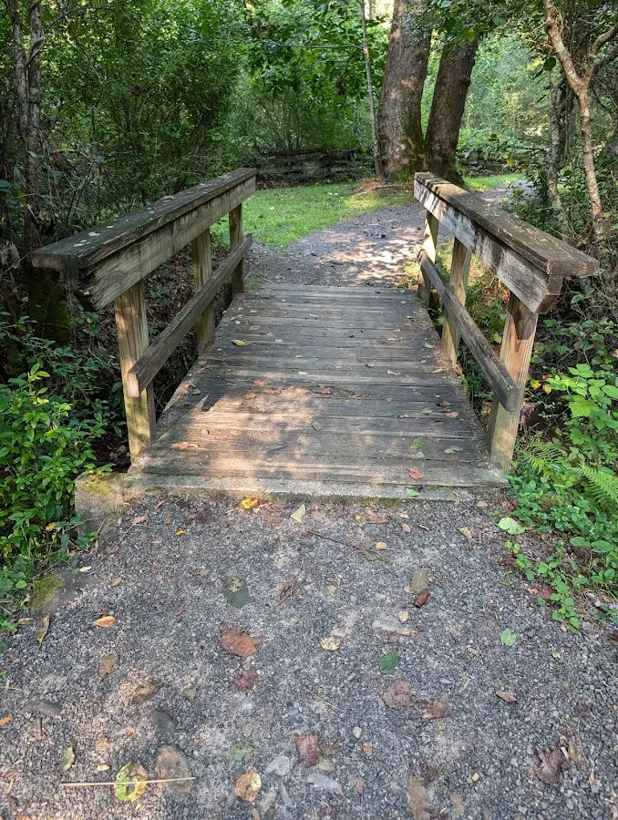 North Mills River Campground & Recreation Area