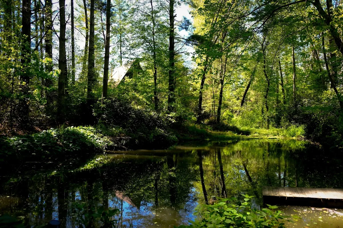 North Mills River Campground & Recreation Area