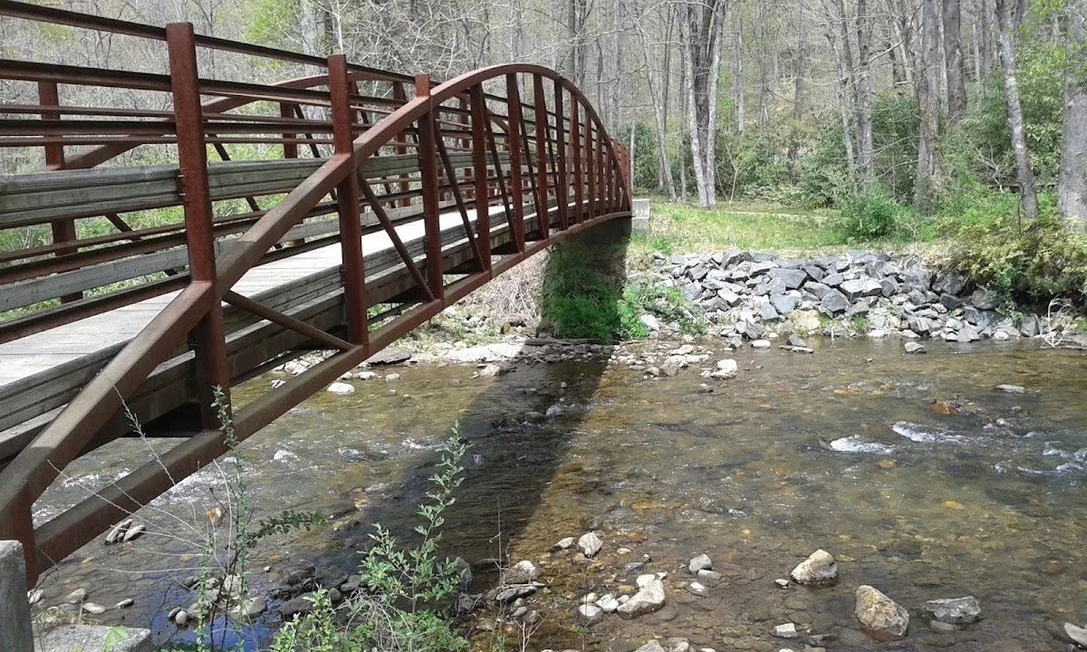 North Mills River Recreation Area