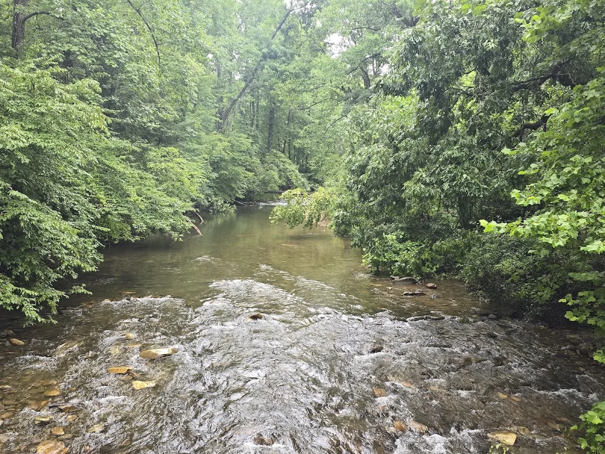 North Mills River Recreation Area