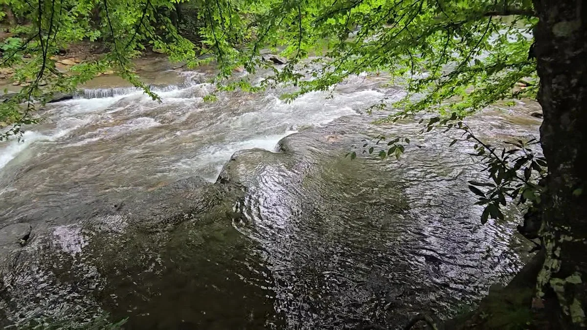 North Mills River Recreation Area