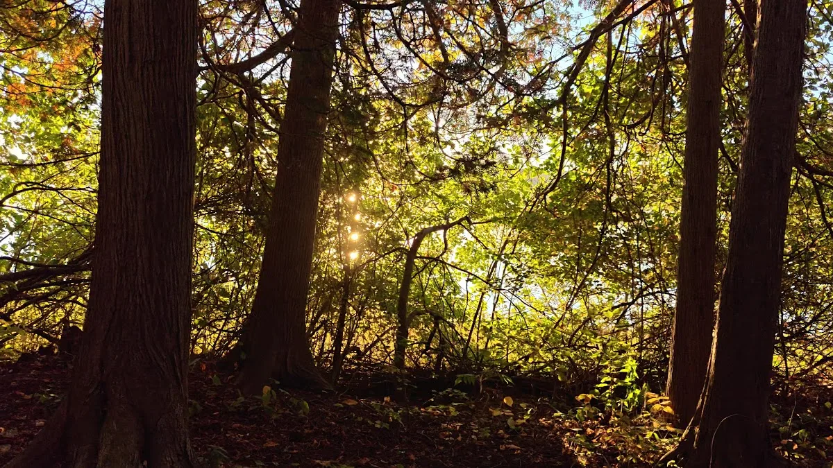 North Nicolet Bay Campground