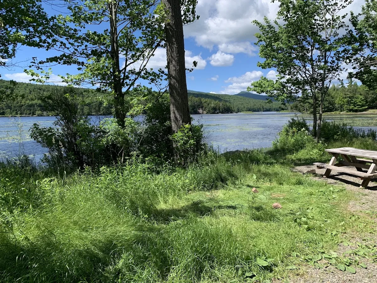 North/South Lake Campground - Campsite #145